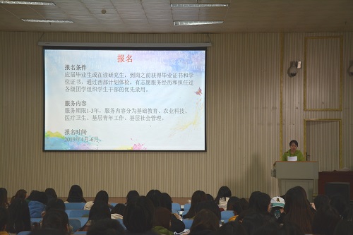 威尼斯人平台(中国)唯一官方网站
召开2019届毕业生就业指导会
